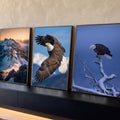 Quadro Decorativo Kit 3 Telas Águia e Montanhas para Sala | quadros decorativos para sala | águia voando e pousada em galho nevado, com montanha ao pôr do sol | Porao dos Quadros