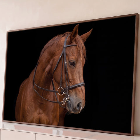 Cavalo castanho com cabeçada de couro e freio em fundo preto, fotografia de estúdio, quadro decorativo