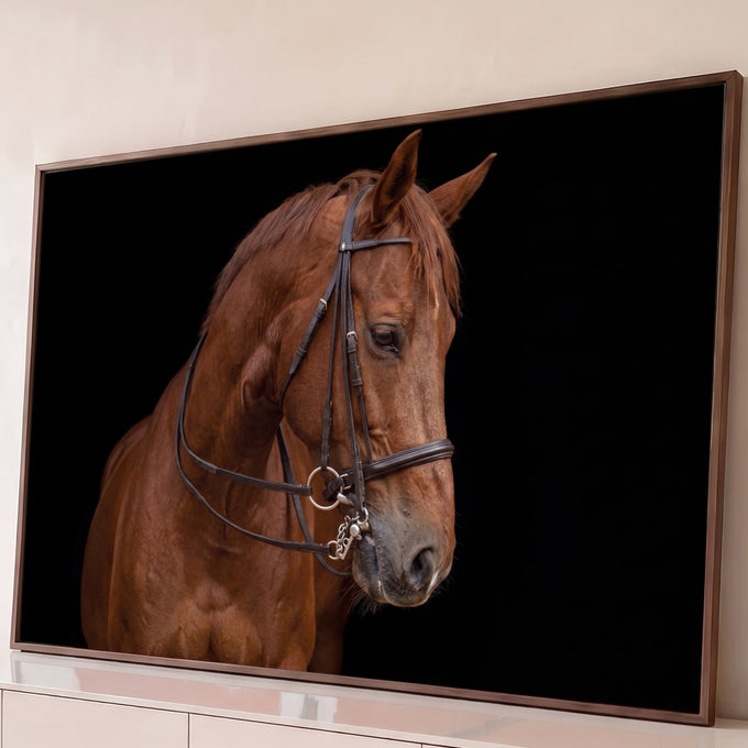 Cavalo castanho com cabeçada de couro e freio em fundo preto, fotografia de estúdio, quadro decorativo