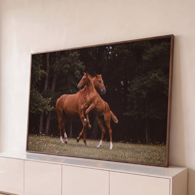 Dois cavalos alazões brincando em campo florido com floresta escura ao fundo, quadro decorativo