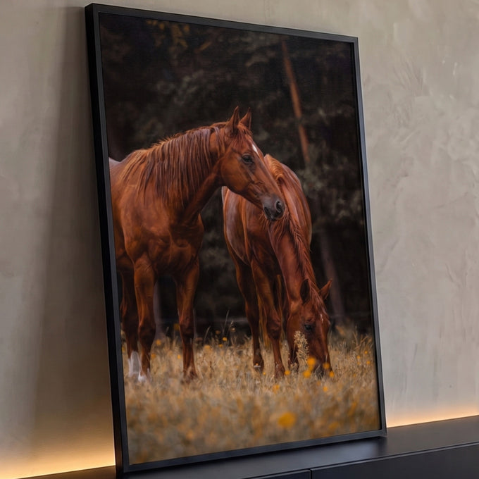 Dois cavalos alazões, um pastando, em campo de flores amarelas com floresta ao fundo, quadro decorativo