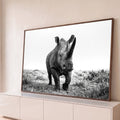 Rinoceronte caminhando de frente na savana em fotografia preto e branco, quadro decorativo