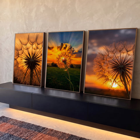Quadro Decorativo Kit 3 Telas Dente de Leão para Sala | quadros decorativos para sala | tríptico de dente-de-leão em silhueta contra céu de pôr do sol laranja e roxo | Porao dos Quadros
