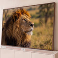 Leão macho de perfil com juba farta iluminada pelo sol dourado da savana africana, quadro decorativo