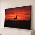 Quadro Decorativo Grande Antílope em Silhueta para Sala | quadros decorativos para sala | antílope em silhueta contra céu vermelho intenso de pôr do sol africano | Porao dos Quadros