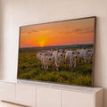 Rebanho de gado Nelore branco no pasto verde sob céu laranja de pôr do sol, quadro decorativo