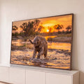 Filhote de elefante espirrando água com a tromba em rio da savana ao pôr do sol, quadro decorativo