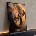 Elefante africano em close com tromba enrolada, presa de marfim e poeira dourada, quadro decorativo