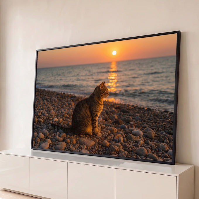 Quadro Decorativo Grande Gato Observando para Sala Laranja | quadros decorativos para sala | gato tabby sentado em praia de seixos observando o pôr do sol dourado no mar | Porao dos Quadros