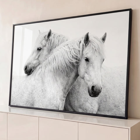 Dois cavalos brancos de crinas longas, um apoiando a cabeça no outro, fundo branco, quadro decorativo