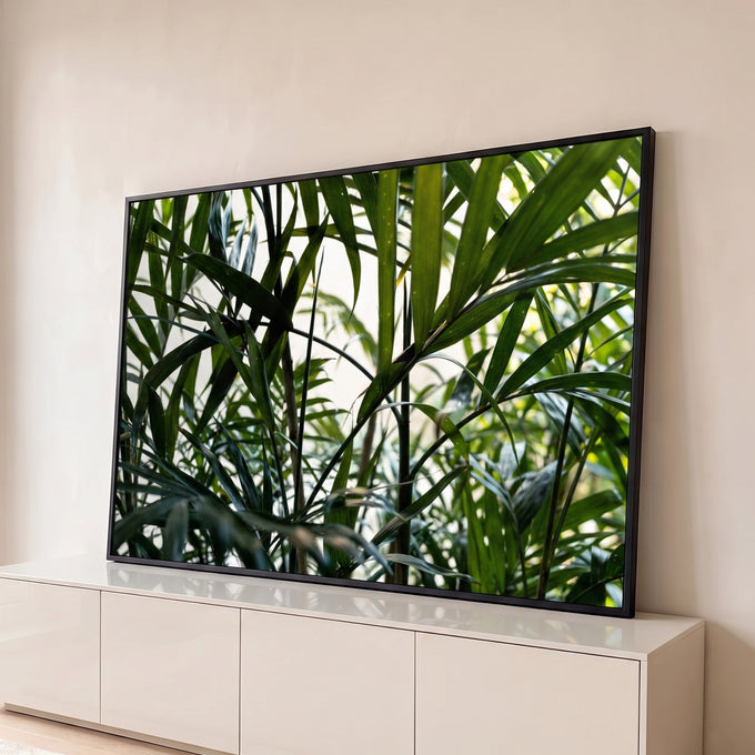 Folhas finas de palmeira verde em contraluz com fundo claro, fotografia botânica, quadro decorativo