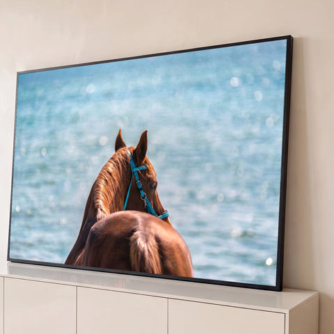 Cavalo alazão de costas com cabresto turquesa olhando o mar azul cintilante, quadro decorativo