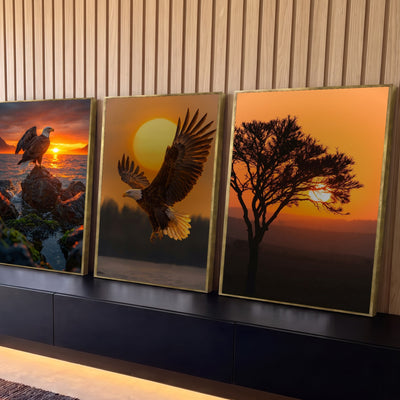 Quadro Decorativo Kit 3 Telas Águias e Árvore para Sala