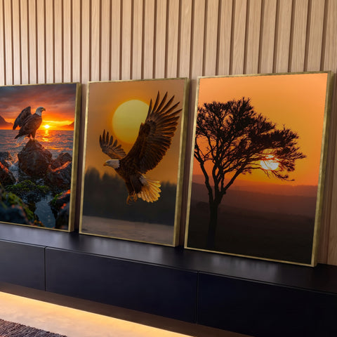 Quadro Decorativo Kit 3 Telas Águias e Árvore para Sala | quadros decorativos para sala | águias-de-cabeça-branca e árvore silhueta contra pôr do sol laranja | Porao dos Quadros