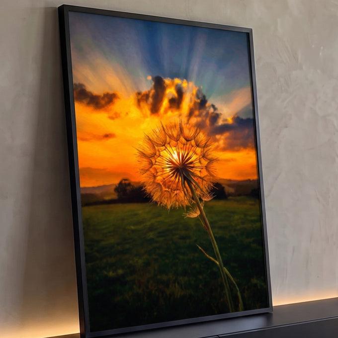 Dente-de-leão iluminado pelo pôr do sol laranja com raios de luz sobre campo verde, quadro decorativo