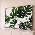 Quadro Decorativo Grande Folhas de Costela para Sala Verde | quadros decorativos para sala | folhas verdes de Monstera recortadas vistas de baixo contra fundo branco | Porao dos Quadros