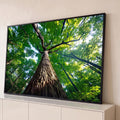 Tronco de árvore gigante visto de baixo com copa verde e luz do sol na floresta, quadro decorativo