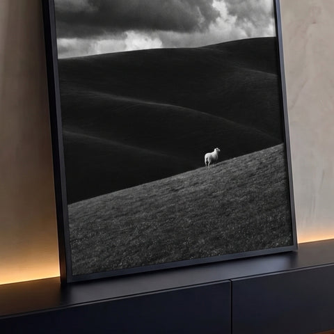 Ovelha branca solitária em colinas escuras sob céu nublado dramático em preto e branco, quadro decorativo