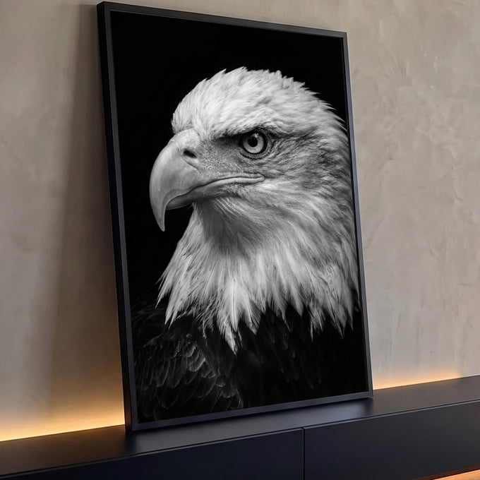 Quadro Decorativo Grande Águia Careca para Sala Preto | quadros decorativos para sala | retrato em preto e branco de águia careca com olhar fixo e bico em detalhe | Porao dos Quadros