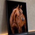 Cavalo baio de pelagem brilhante olhando de lado sobre fundo preto, fotografia de estúdio, quadro decorativo
