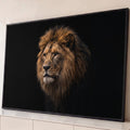 Fotografia de leão majestoso com juba castanha olhando para o lado sobre fundo preto, quadro decorativo