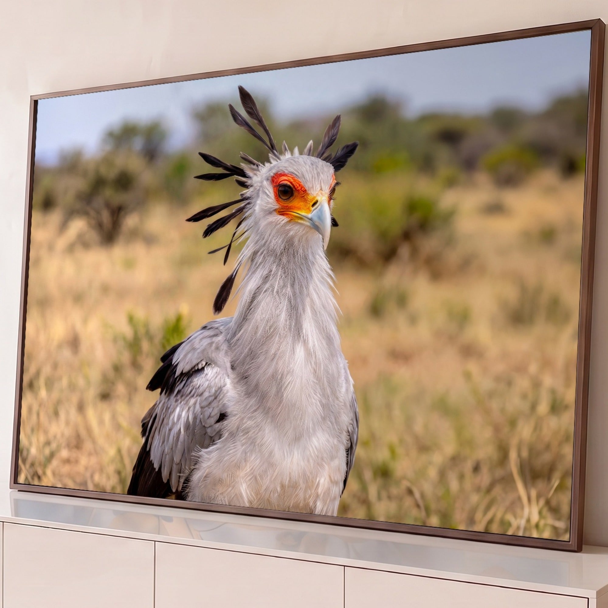 Marton Akos Barnabas アートパネル 額装 Quadro Decorativo Ave Serpentário Savana Africana | Porão dos Quadros