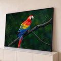 Arara vermelha com asas azuis e amarelas pousada em galho, fundo de floresta verde, quadro decorativo