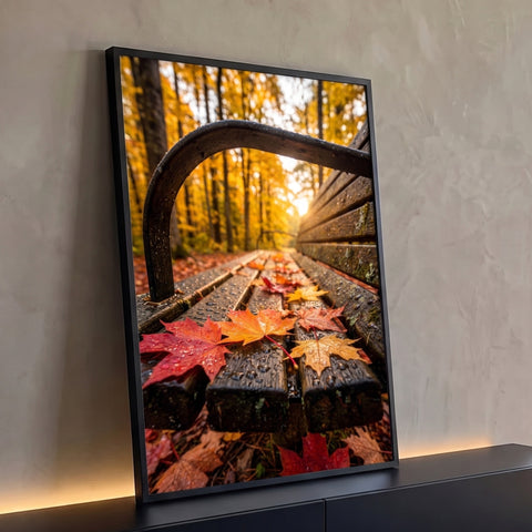 Banco de madeira molhado com folhas de bordo vermelhas em floresta de outono ao sol, quadro decorativo