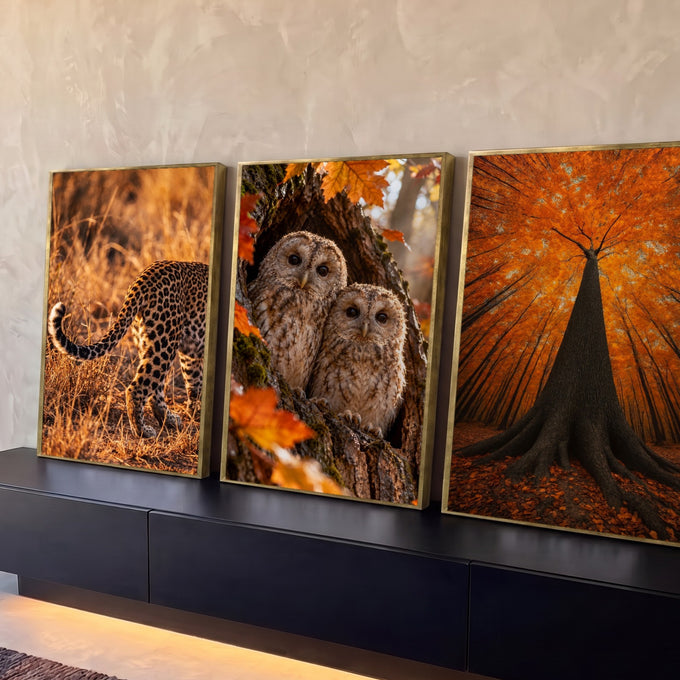 Quadro Decorativo Kit 3 Telas Leopardo Corujas para Sala | quadros decorativos para sala | leopardo na savana, filhotes de coruja em árvore e copa de outono em laranja | Porao dos Quadros