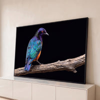 Quadro Decorativo Grande Pássaro no Galho para Sala Preto - Borda Infinita / 65x100cm