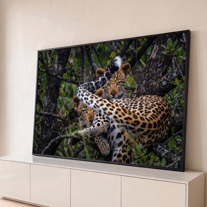 Leoparda e filhote de pelagem malhada deitados num galho de árvore em meio à mata verde, quadro decorativo