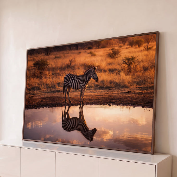 Quadro Decorativo Grande Zebra na Savana para Sala Laranja | quadros decorativos para sala | zebra refletida na água dourada de uma savana ao pôr do sol | Porao dos Quadros