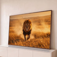 Quadro Decorativo Grande Leão em Investida para Sala Dourado - Borda Infinita / 65x100cm
