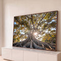 Quadro Decorativo Grande Árvore com Raízes Verde para Sala | quadros decorativos para sala | árvore de grande porte com raízes expostas e sol brilhando entre os galhos | Porao dos Quadros