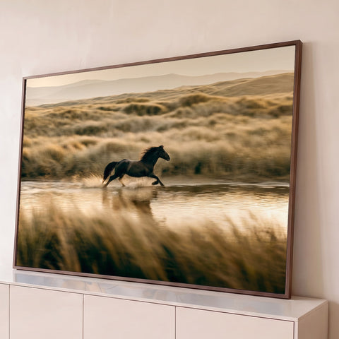 Cavalo negro galopando em riacho raso entre dunas e capim dourado ao entardecer, quadro decorativo