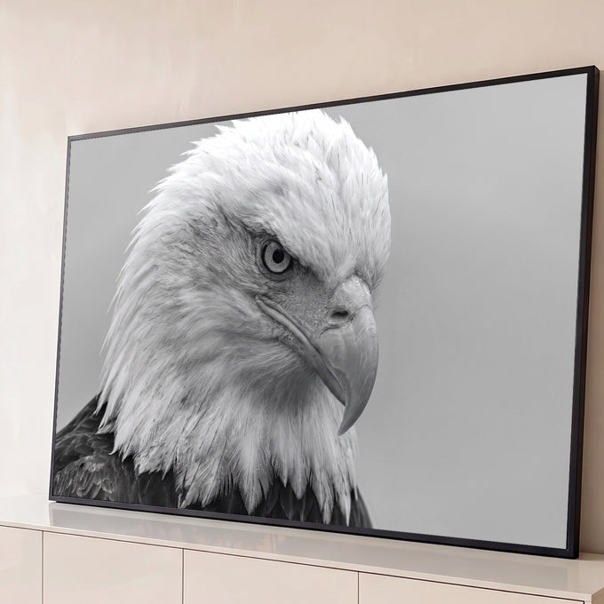 Quadro Decorativo Grande Águia Americana Preto para Sala | quadros decorativos para sala | retrato em preto e branco de águia de cabeça branca com gota no bico | Porao dos Quadros