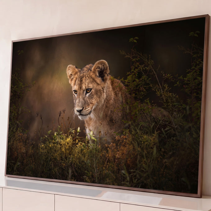 Filhote de leão de olhar atento entre folhagens verdes em fundo escuro e dourado, quadro decorativo