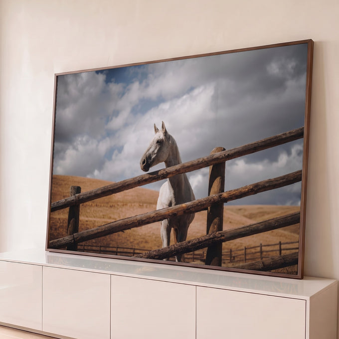 Cavalo branco atrás de cerca de madeira rústica, colinas secas e céu nublado ao fundo, quadro decorativo