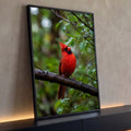 Pássaro cardeal vermelho pousado em galho molhado com folhas verdes e gotas de chuva, quadro decorativo