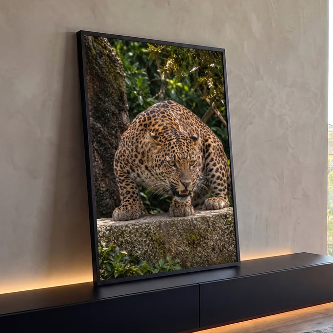 Quadro Decorativo Grande Leopardo Rosnando Marrom para Sala | quadros decorativos para sala | leopardo rosnando sobre pedra com fundo de folhagem verde | Porao dos Quadros