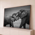 Quadro Decorativo Grande Elefantes se para Sala Preto | quadros decorativos para sala | dois elefantes em preto e branco entrelaçando as trombas em gesto afetuoso | Porao dos Quadros