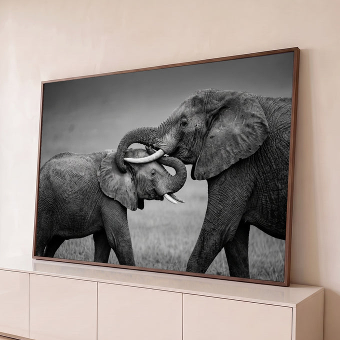 Quadro Decorativo Grande Elefantes se para Sala Preto | quadros decorativos para sala | dois elefantes em preto e branco entrelaçando as trombas em gesto afetuoso | Porao dos Quadros
