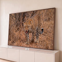 Quadro Decorativo Grande Leopardo Avançando para Sala Marrom - Borda Infinita / 65x100cm