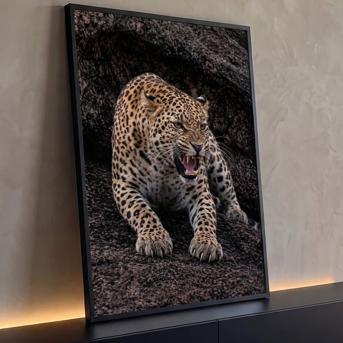 Quadro Decorativo Grande Leopardo Rosnando para Sala Marrom | quadros decorativos para sala | leopardo rosnando com dentes à mostra sobre rocha escura | Porao dos Quadros
