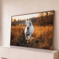 Cavalo branco trotando em trilha de campo dourado ao pôr do sol, fotografia artística, quadro decorativo