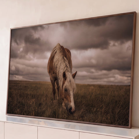 Cavalo castanho de crina loira pastando em campo seco sob céu nublado dramático, quadro decorativo