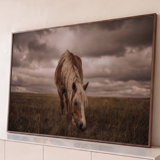 Cavalo castanho de crina loira pastando em campo seco sob céu nublado dramático, quadro decorativo