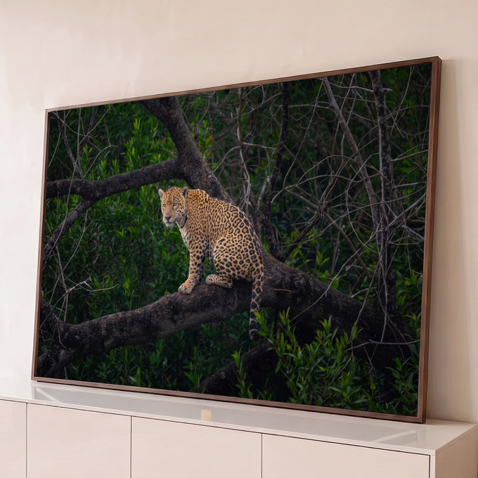 Quadro Decorativo Grande Onça Pintada Verde para Sala | quadros decorativos para sala | onça pintada sentada em galho escuro, cercada por mata verde densa | Porao dos Quadros