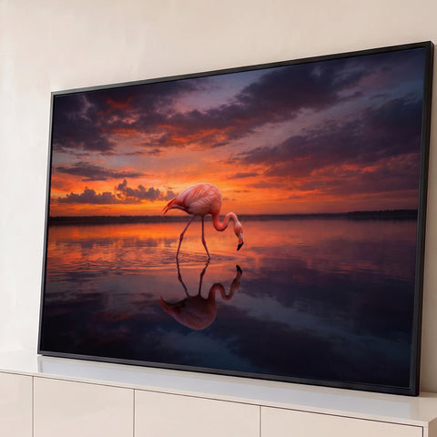 Flamingo rosa caminhando em lago calmo com reflexo na água sob céu laranja de pôr do sol, quadro decorativo