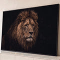 Quadro Decorativo Grande Leão Fotografia de Animal para Sala | quadros decorativos para sala | retrato de leão com juba marrom volumosa sobre fundo preto | Porao dos Quadros